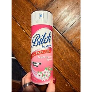 Pink ' Be Gone' Lysol logo Spray Stainless Steel Tumbler Can 20oz